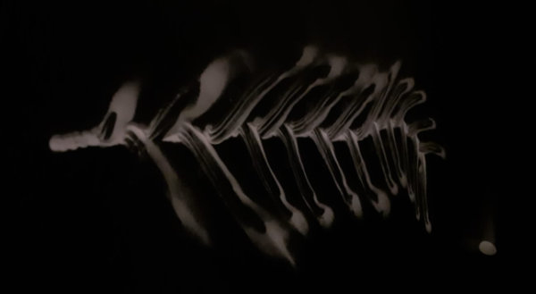 Return to the Body Workshop - Ashburton